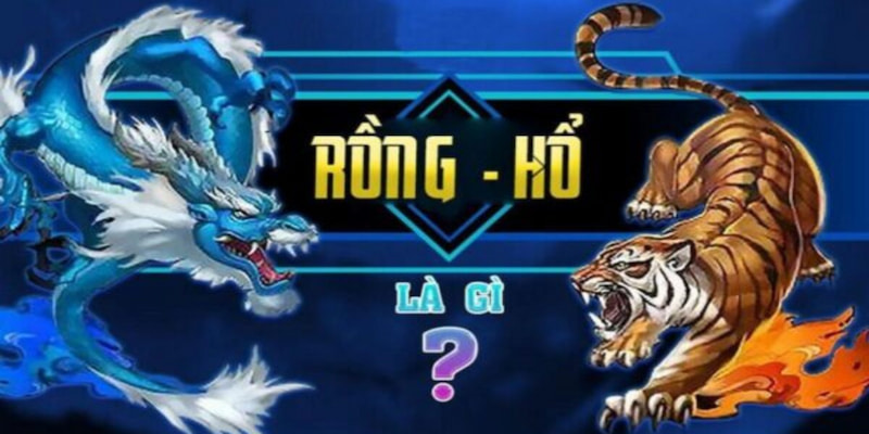 Rồng và Hổ là một trong những trò chơi bài được yêu thích hàng đầu